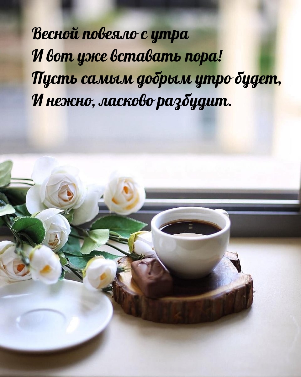 Весной повеяло с утра и вот уже вставать пора!