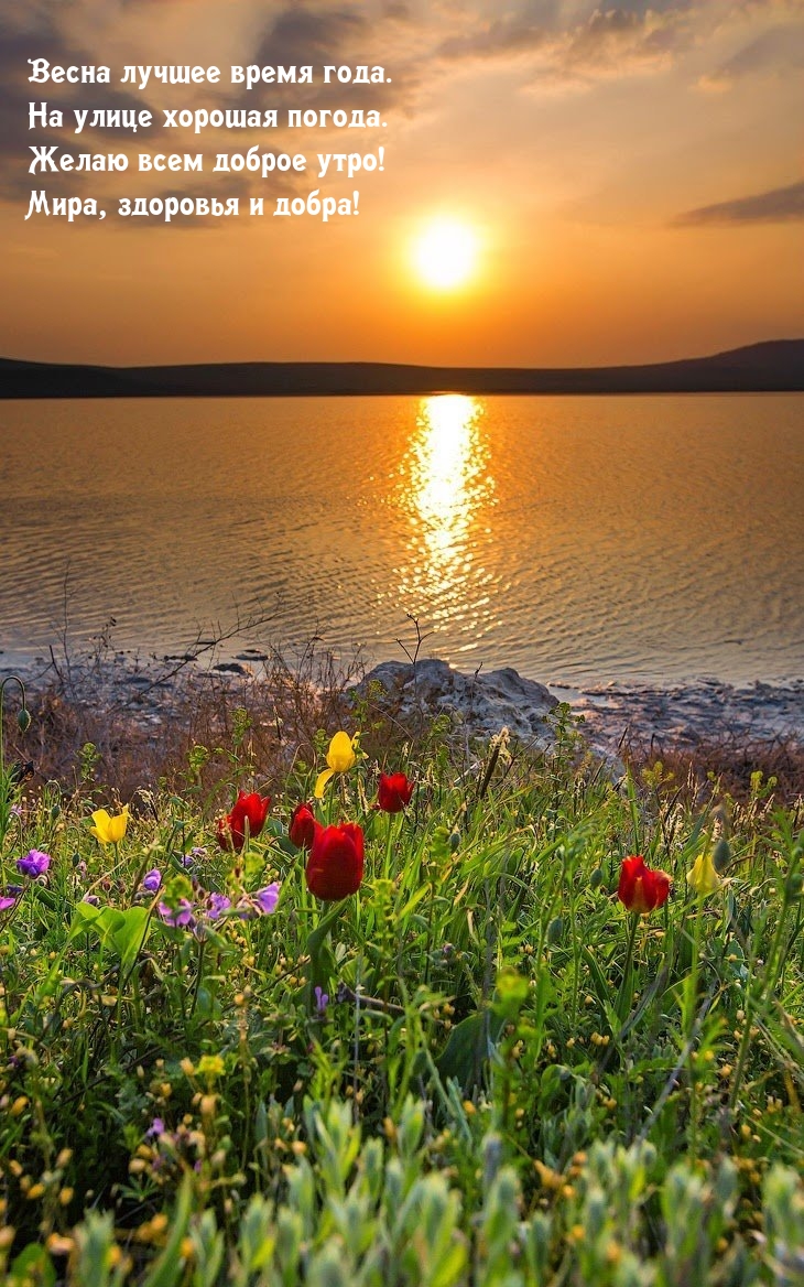 Весна лучшее время года. На улице хорошая погода.