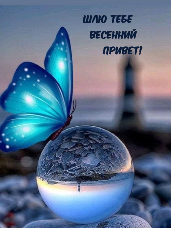 Шлю тебе весенний привет!