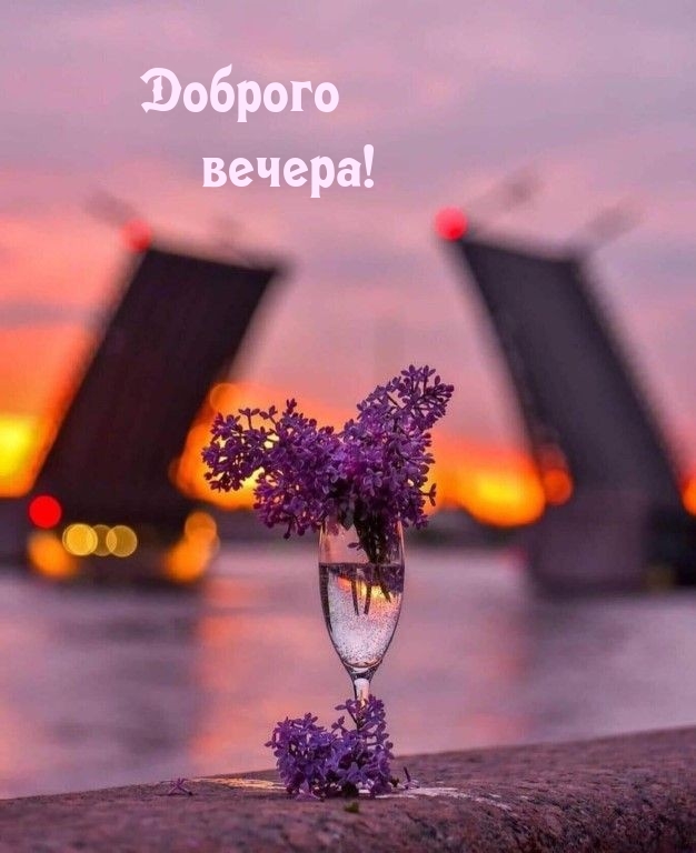 Доброго вечера!