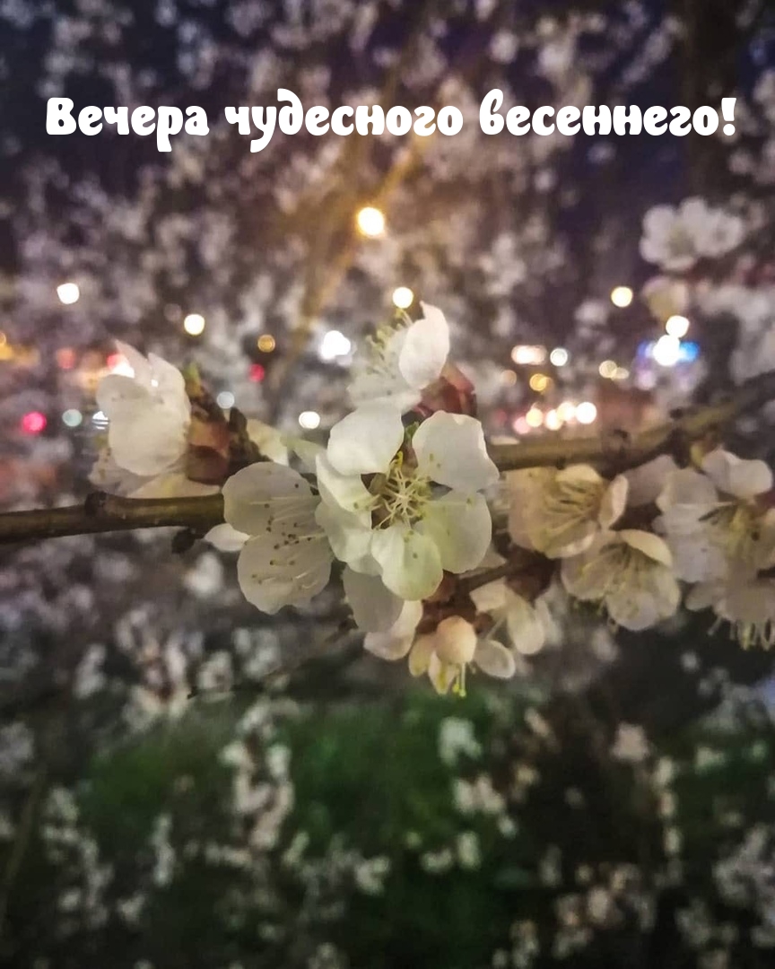 Вечера чудесного весеннего!