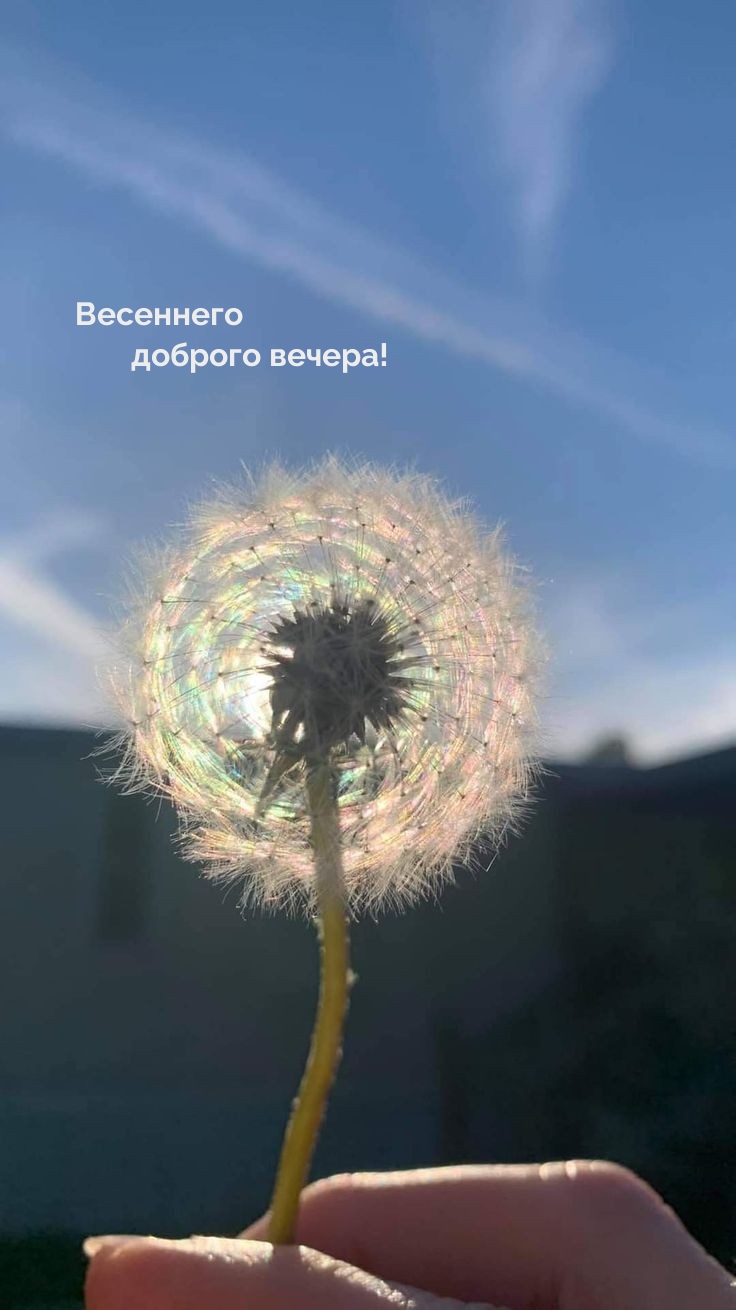 Весеннего доброго вечера!