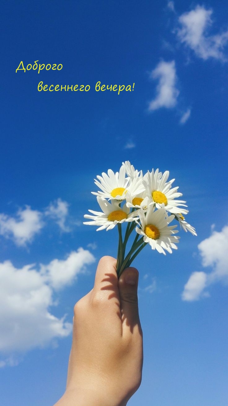 Доброго весеннего вечера!