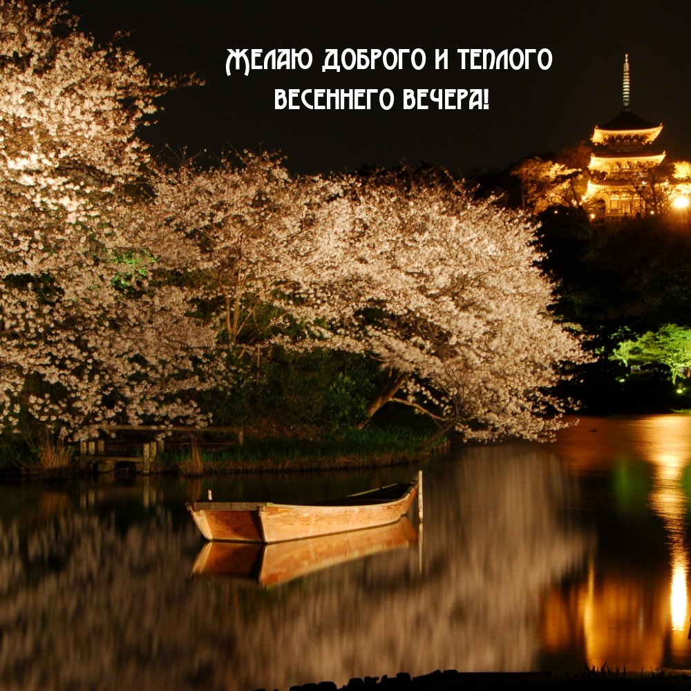 Желаю доброго и теплого весеннего вечера!