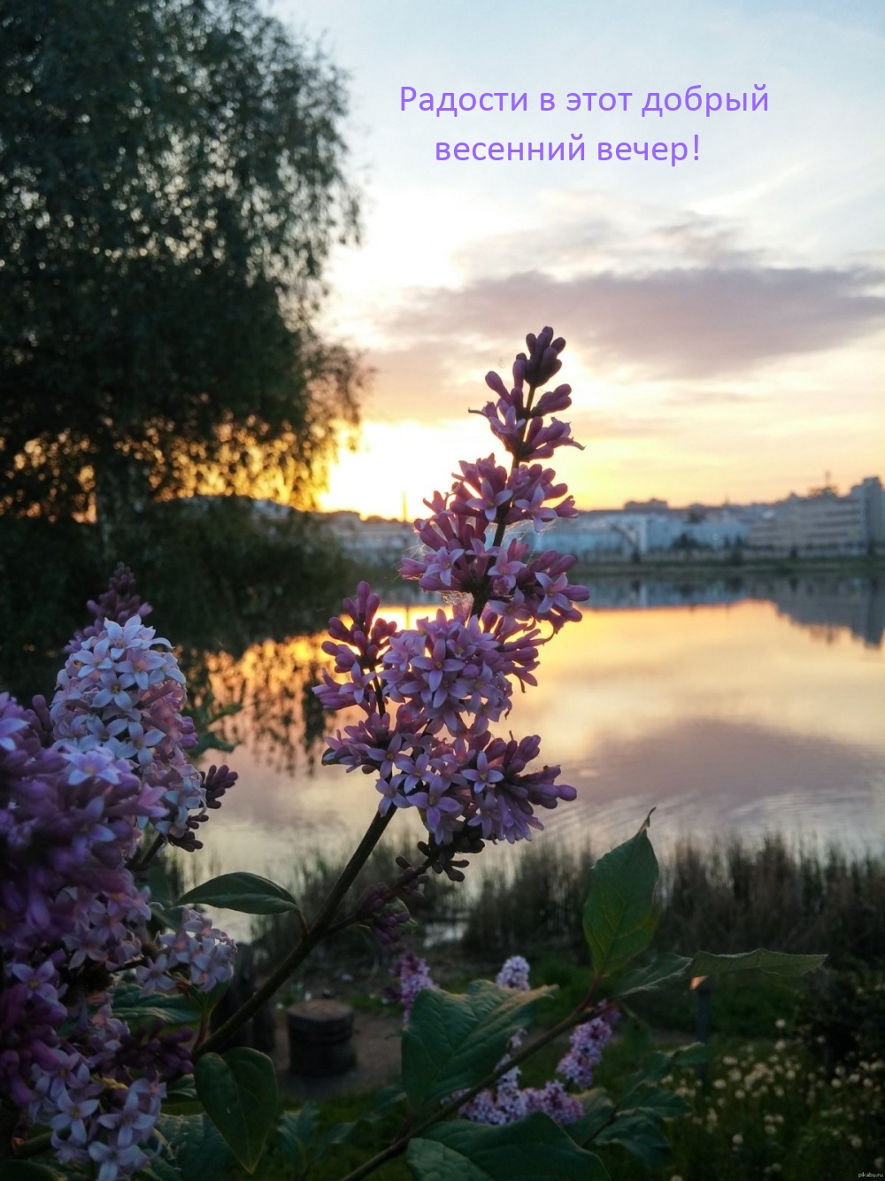 Радости в этот добрый весенний вечер!