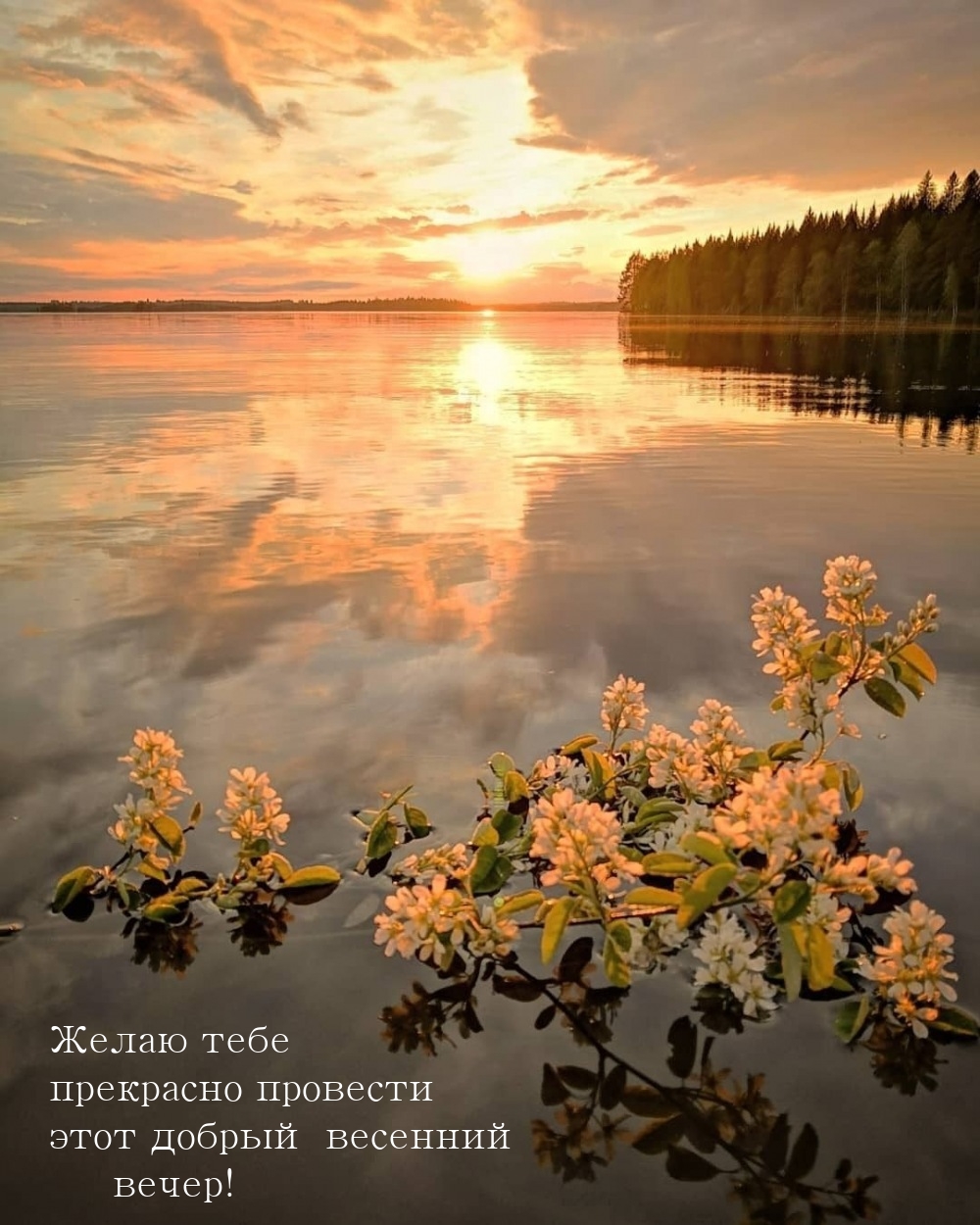 Желаю тебе прекрасно провести этот добрый весенний вечер!   