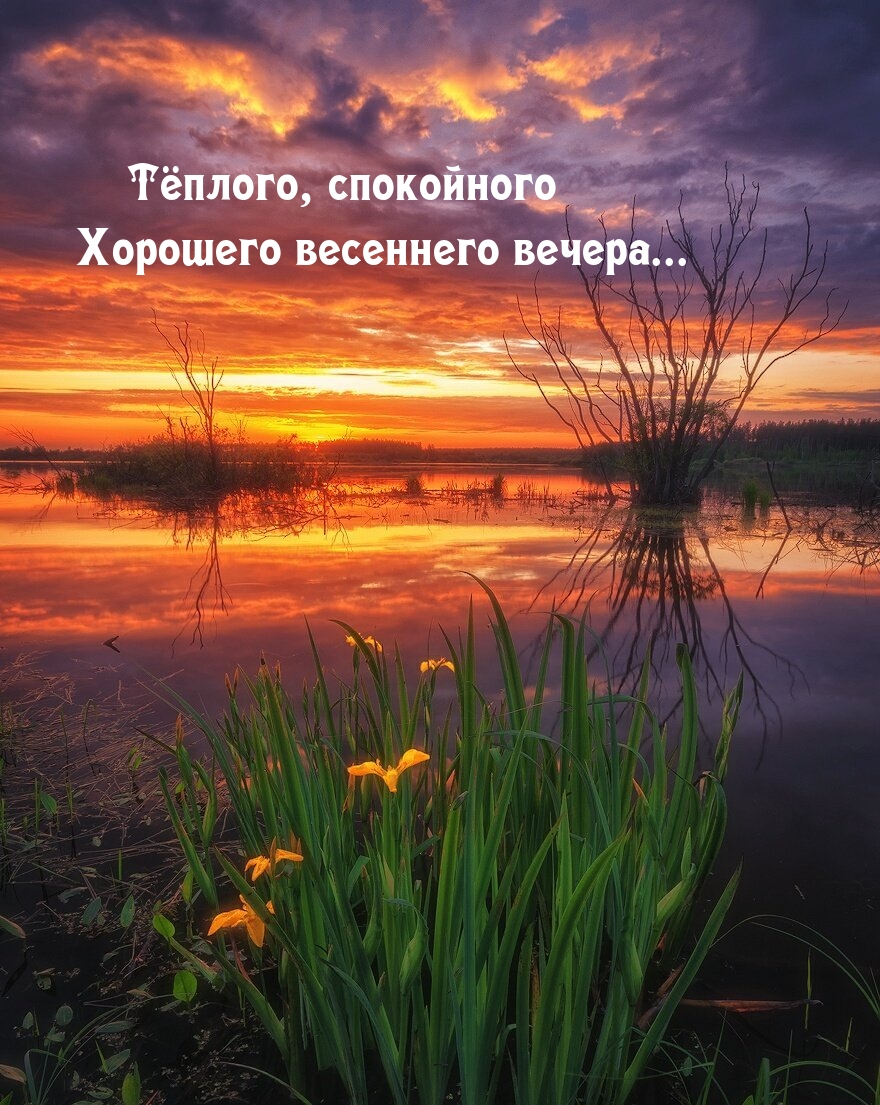 Тёплого, спокойного Хорошего весеннего вечера... 