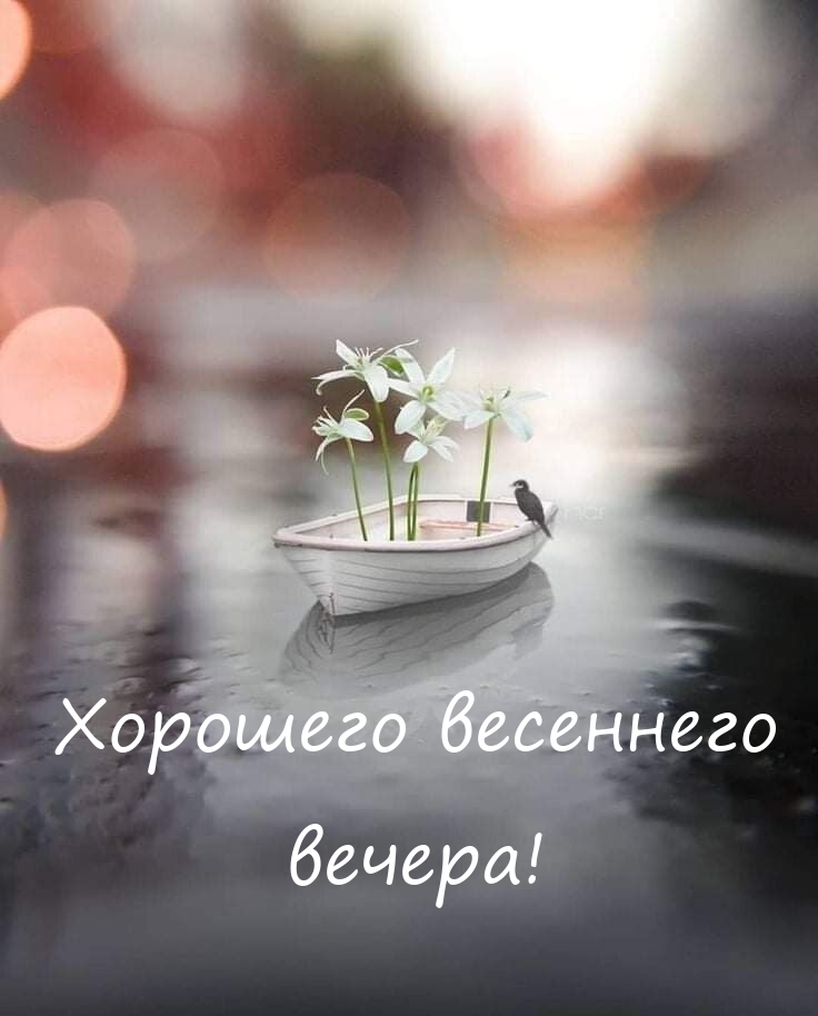 Хорошего весеннего вечера!