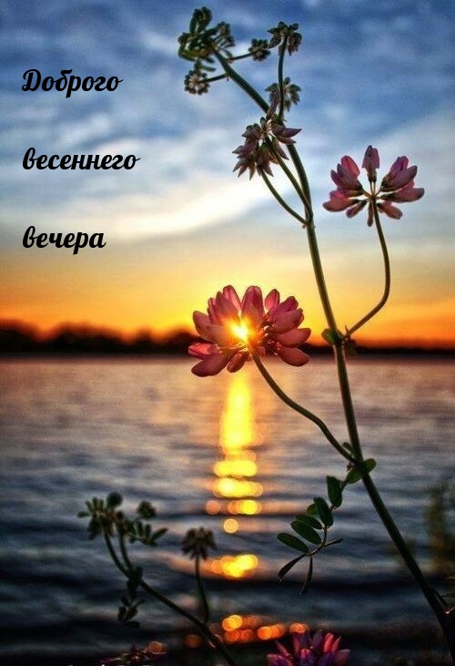 Доброго весеннего вечера