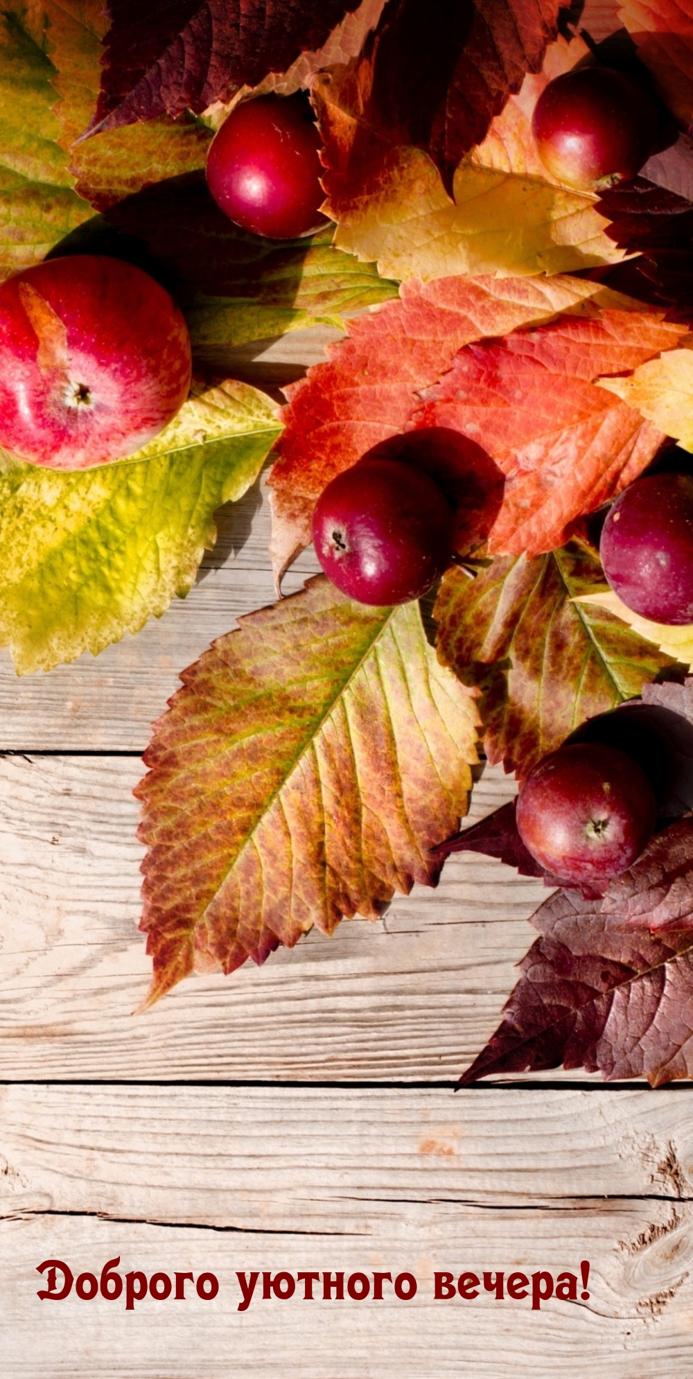 Доброго уютного вечера!