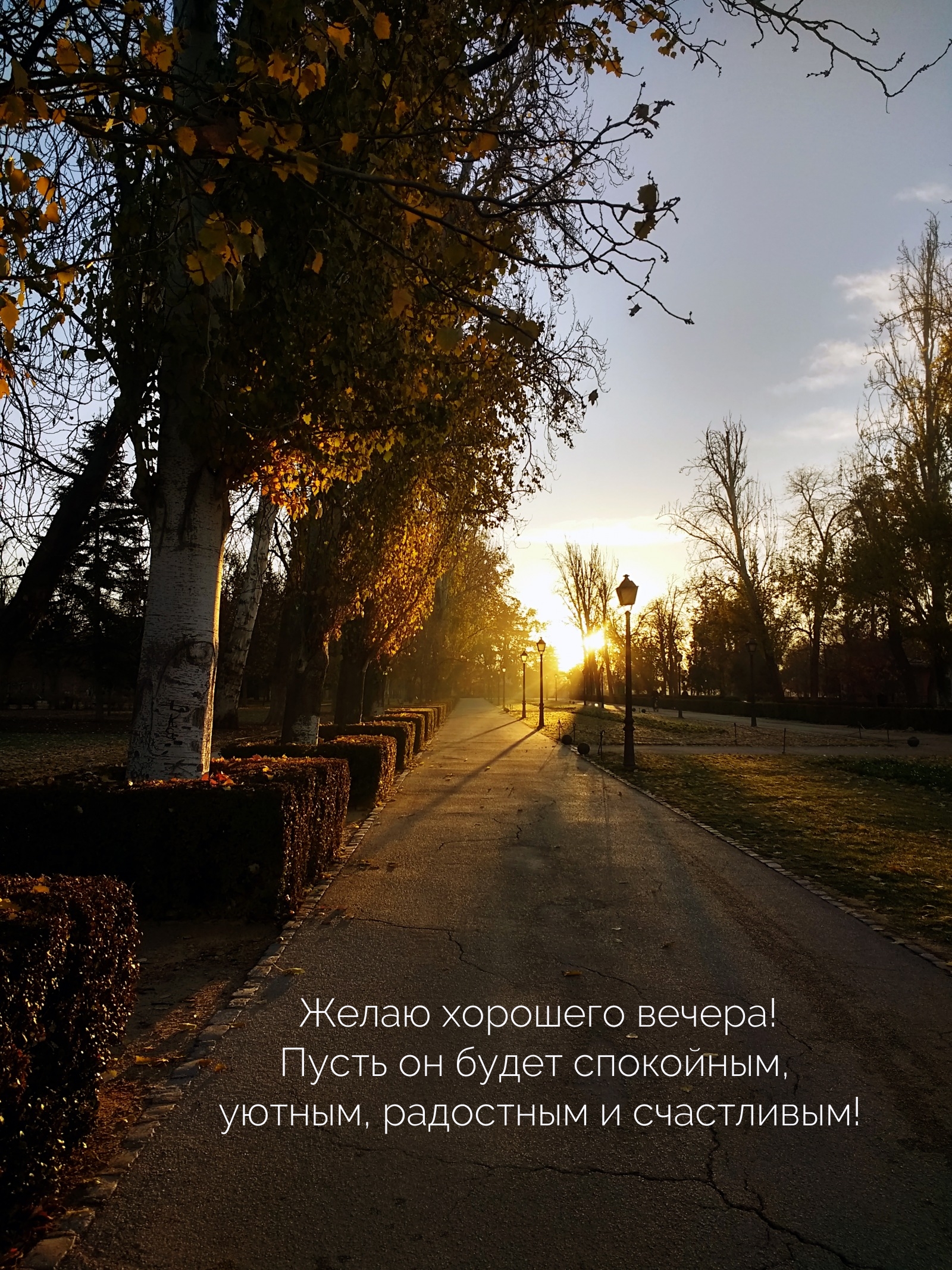 Желаю хорошего вечера! Пусть он будет спокойным