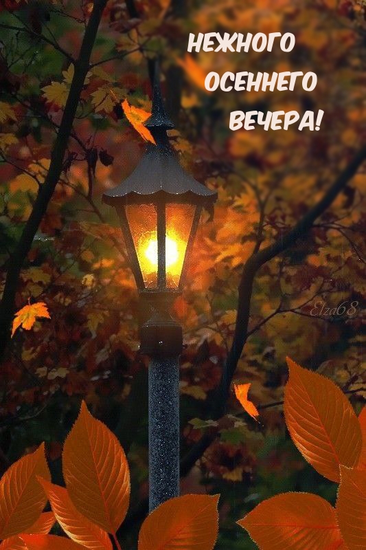Нежного Осеннего Вечера!