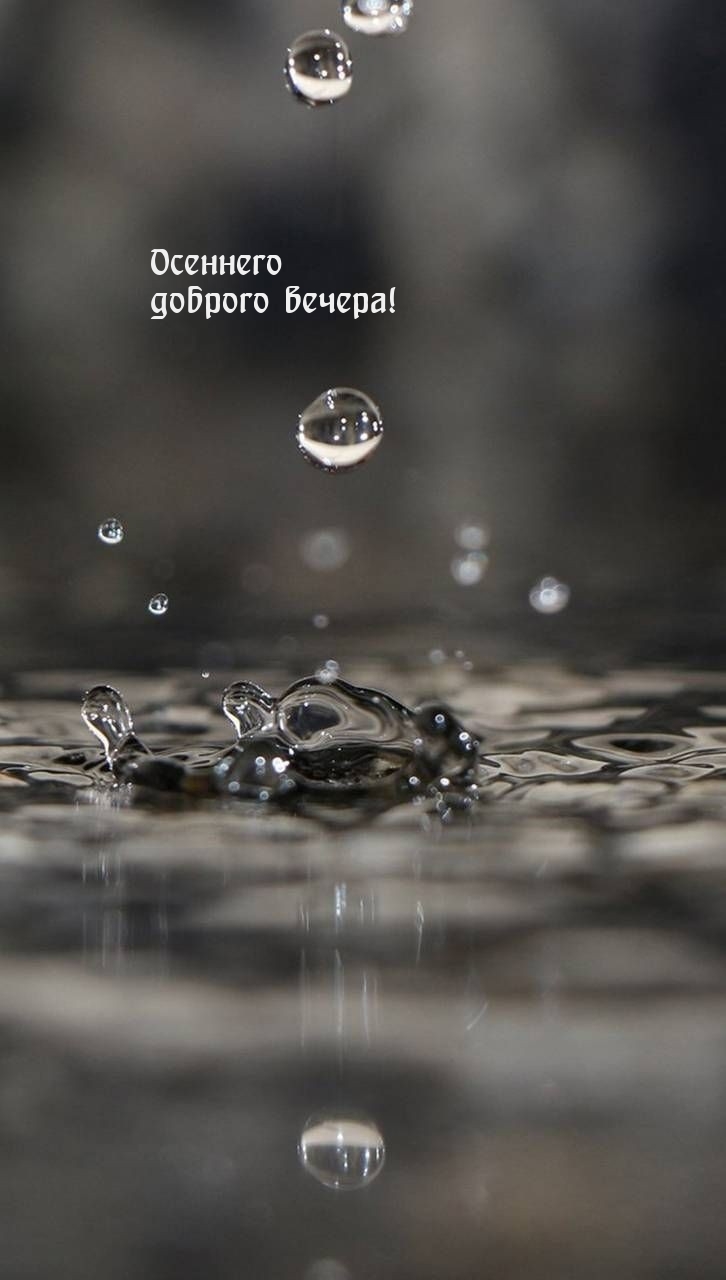 Осеннего доброго вечера!