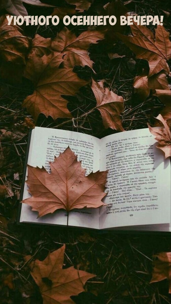 Уютного осеннего вечера!