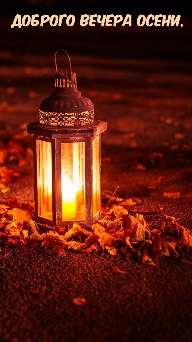 Доброго вечера осени.