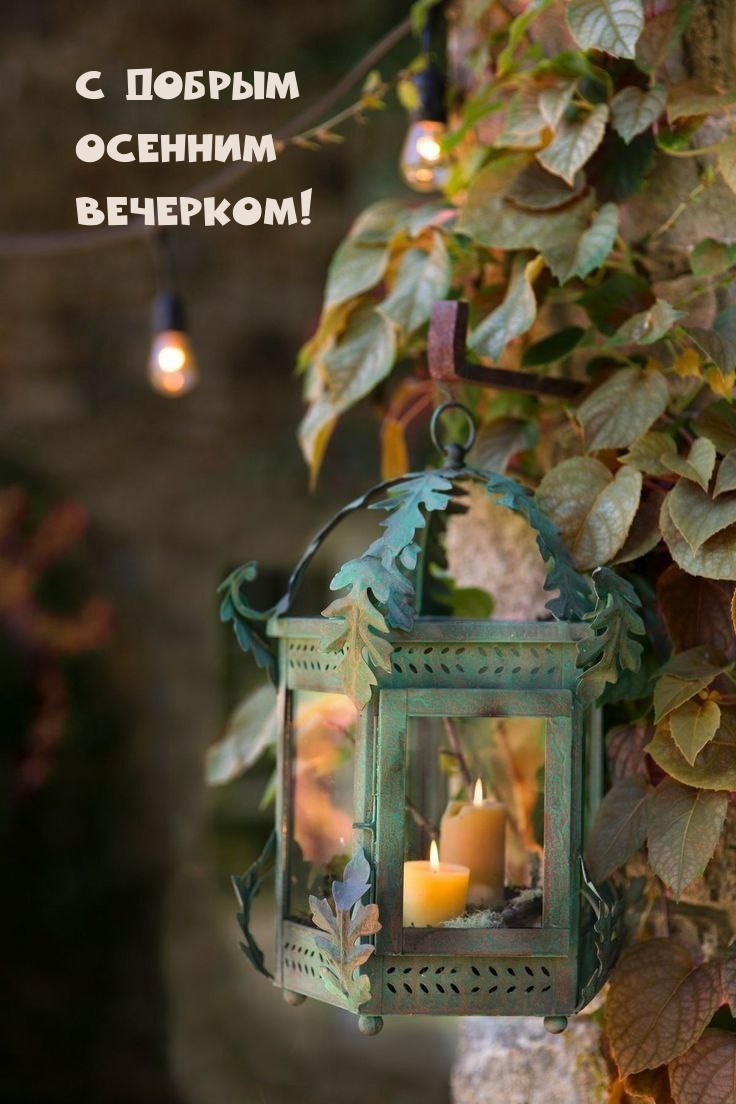 С добрым Осенним Вечерком!