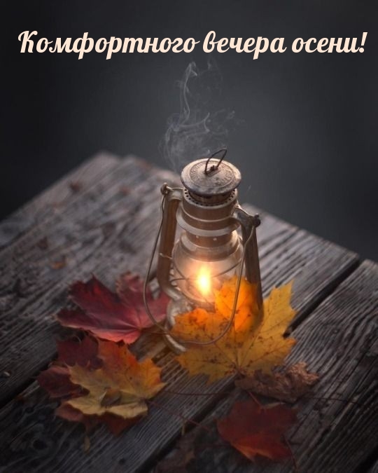 Комфортного вечера осени!