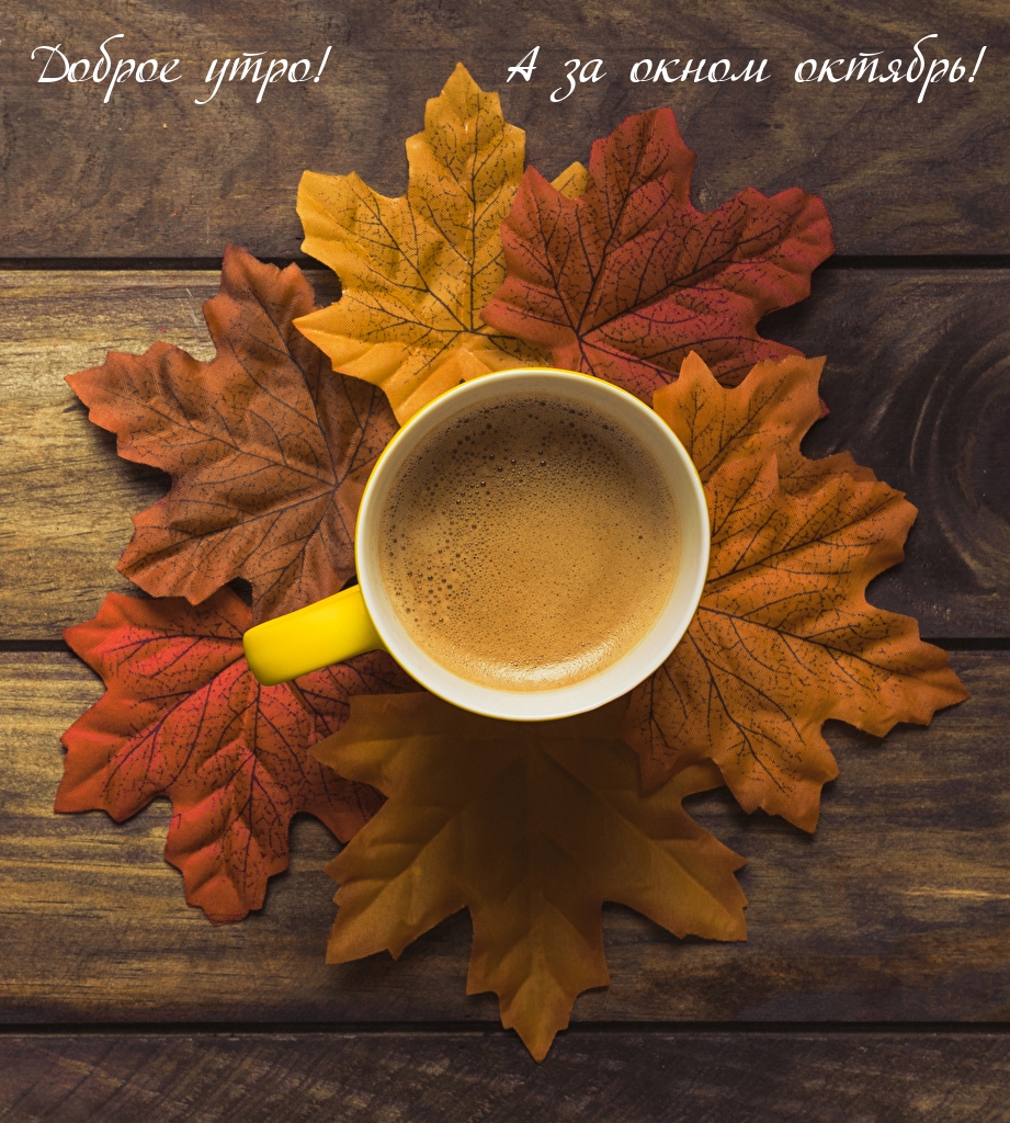Доброе утро! А за окном октябрь!