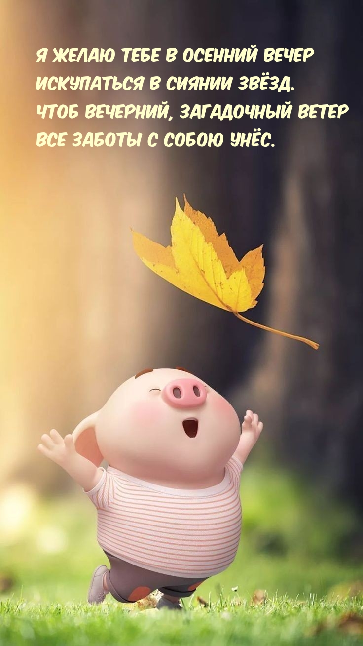 Я желаю тебе в осенний вечер искупаться в сиянии звёзд.