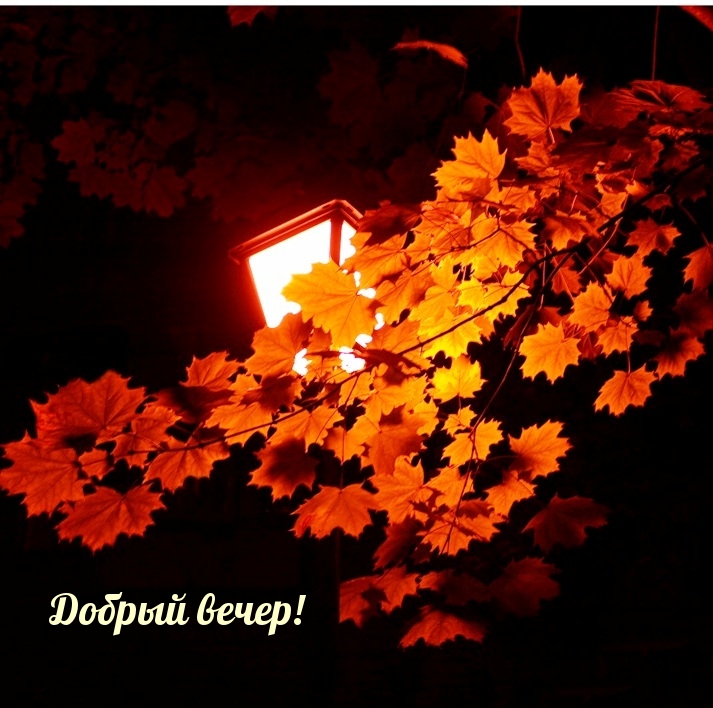 Добрый вечер!
