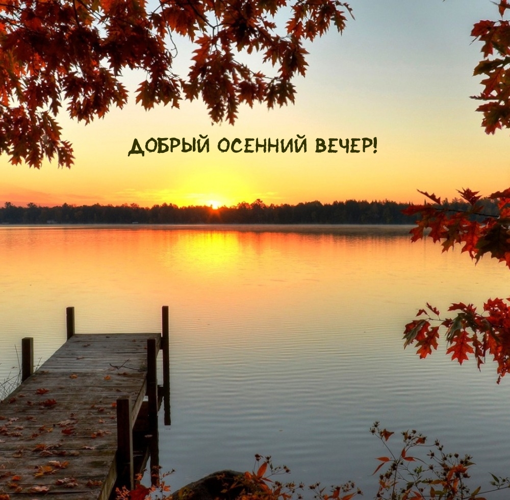 Добрый осенний вечер!