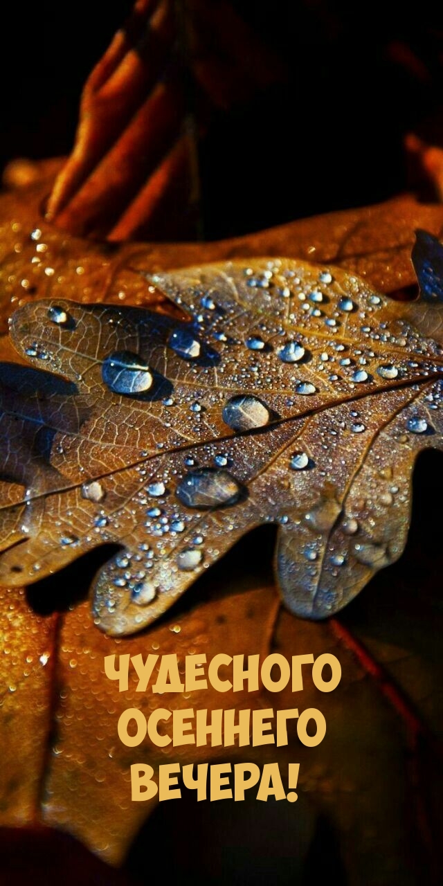 Чудесного осеннего вечера!