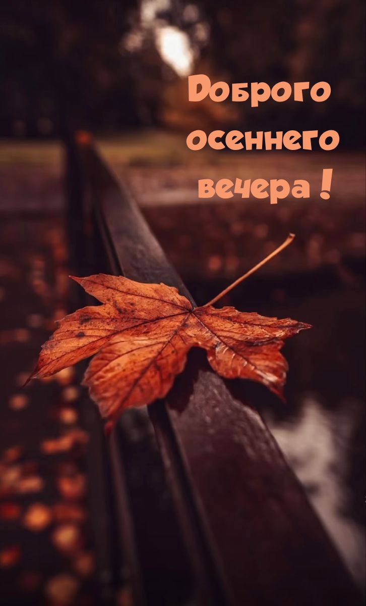 Доброго осеннего вечера!