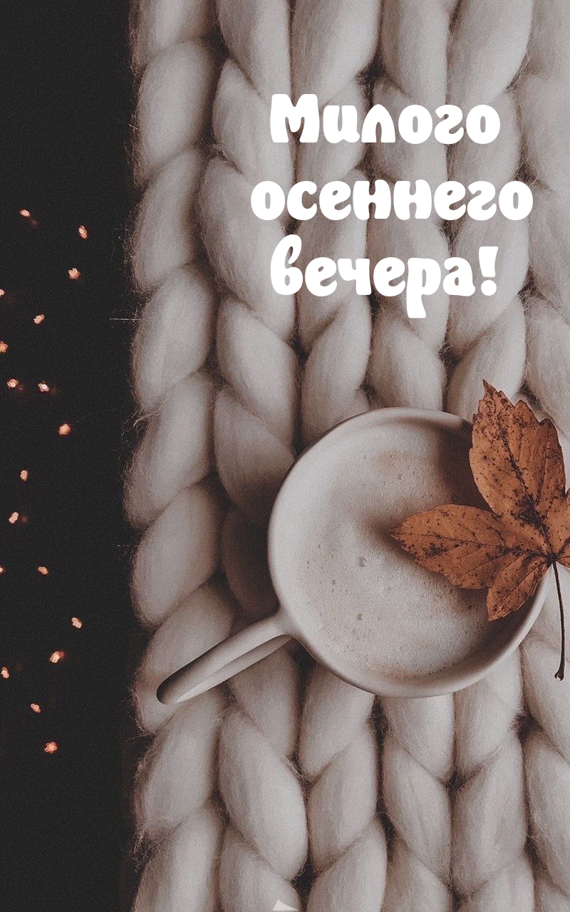 Милого осеннего вечера!