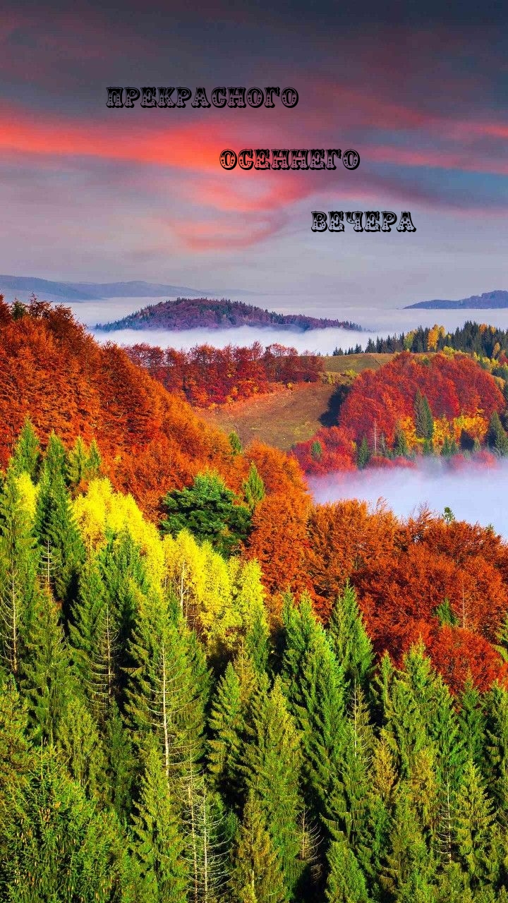 Прекрасного осеннего вечера