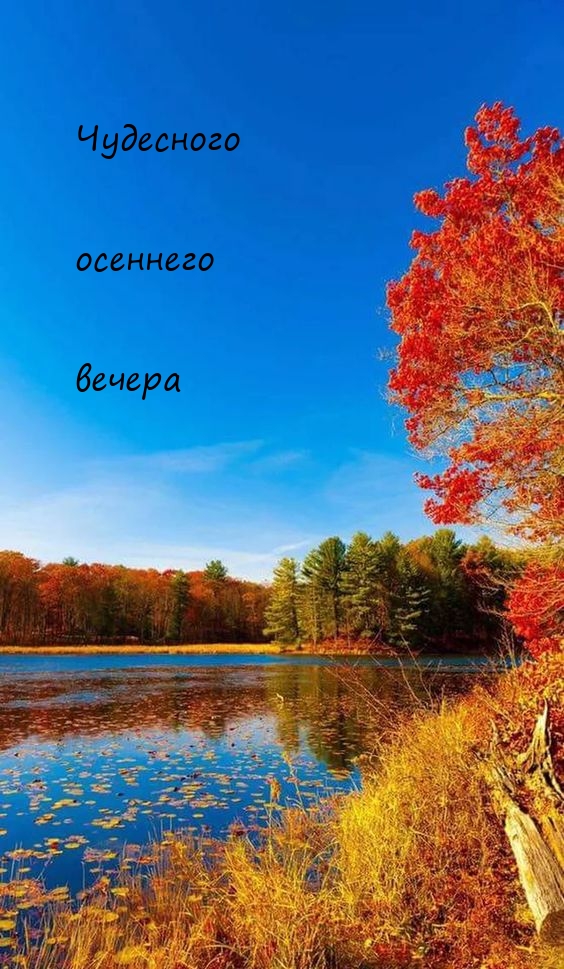 Чудесного осеннего вечера