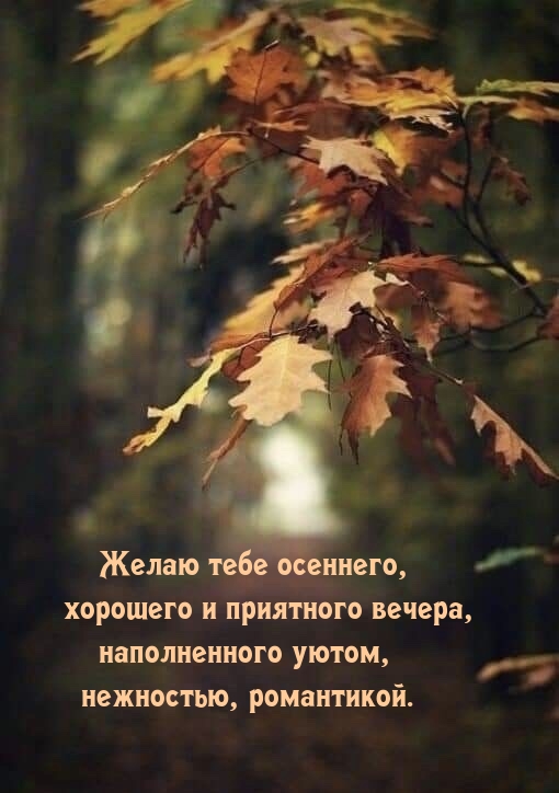 Желаю тебе осеннего, хорошего и приятного вечера
