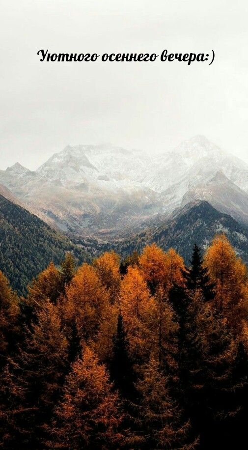Уютного осеннего вечера:)
