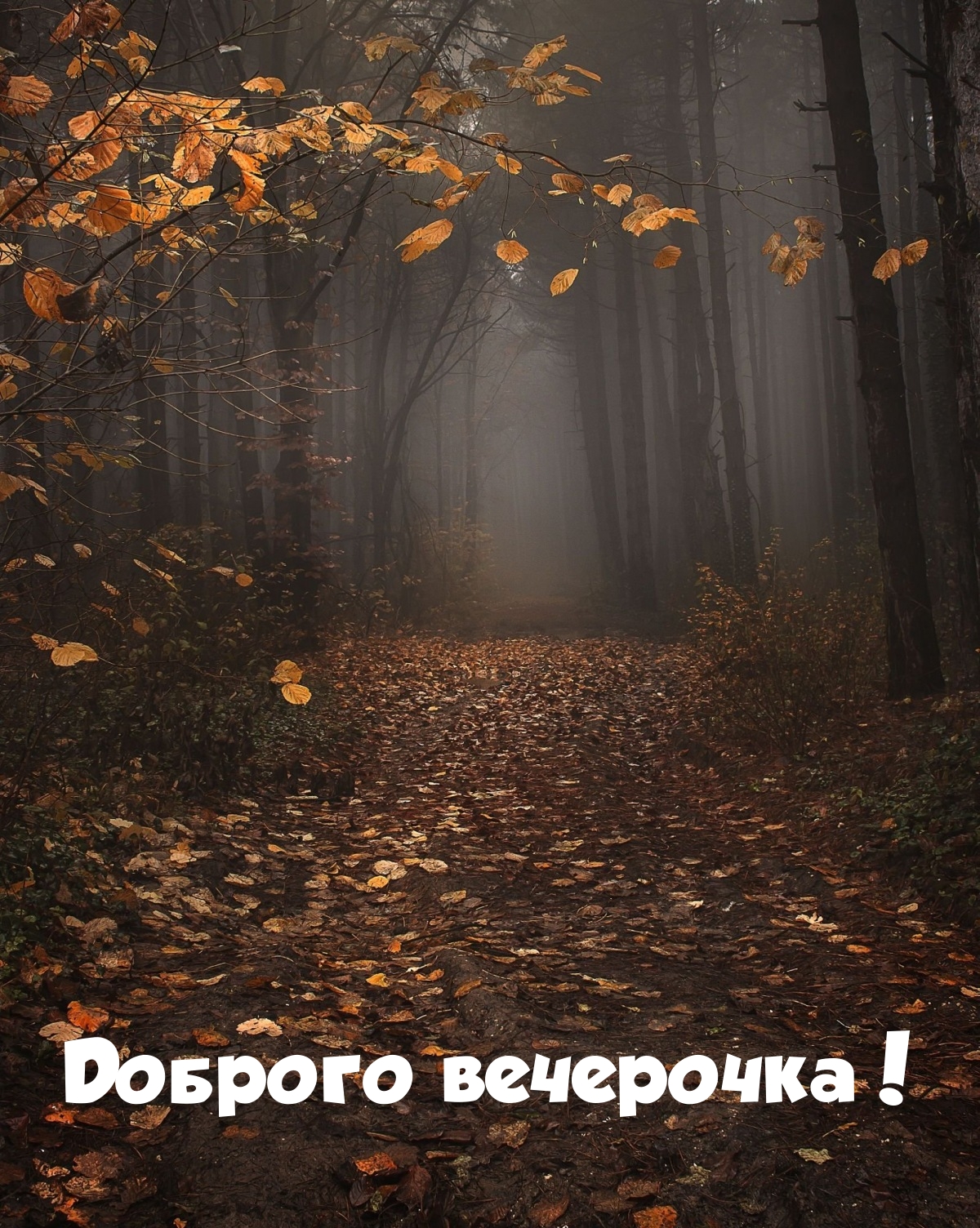 Доброго вечерочка!