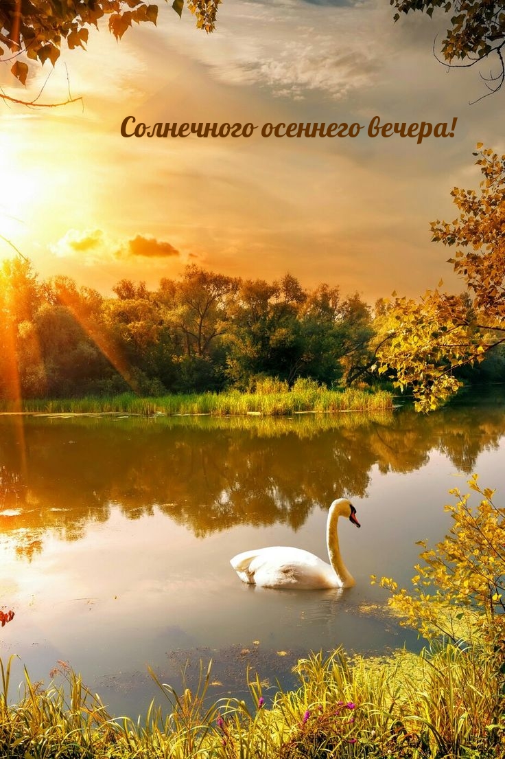 Солнечного осеннего вечера!