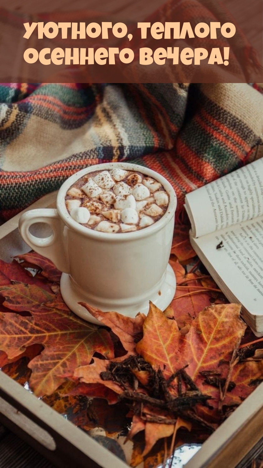 Уютного, теплого осеннего вечера!