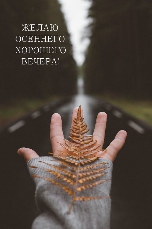 Желаю осеннего хорошего вечера!