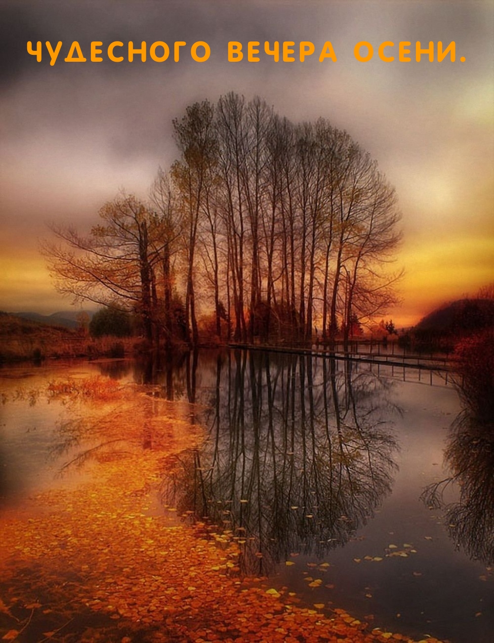 Чудесного вечера осени.