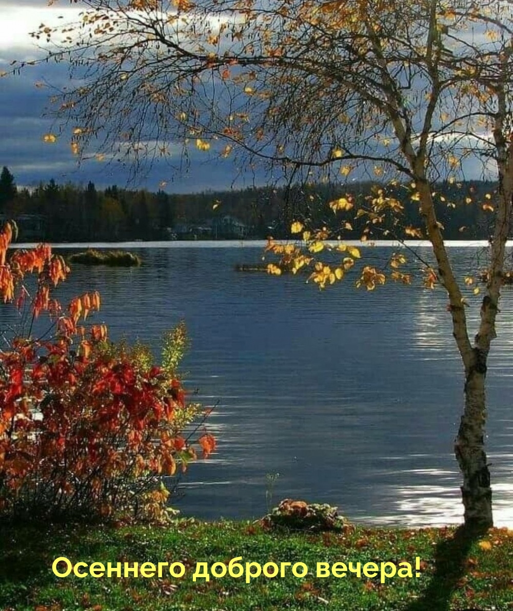 Осеннего доброго вечера!