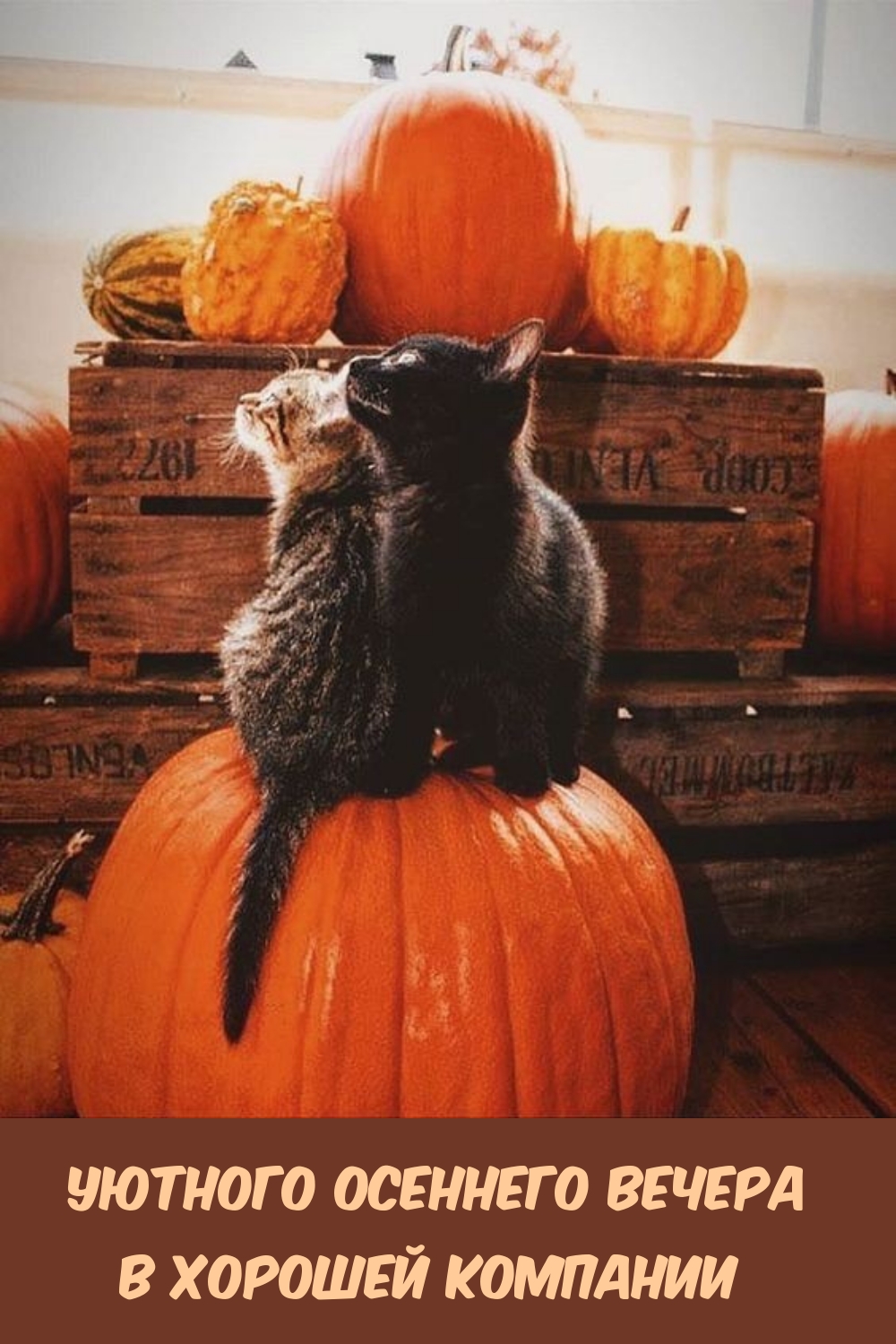 Уютного осеннего вечера в хорошей компании