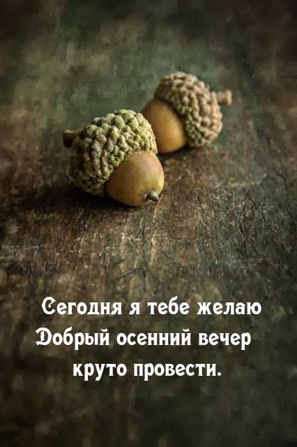 Сегодня я тебе желаю Добрый осенний вечер круто провести.