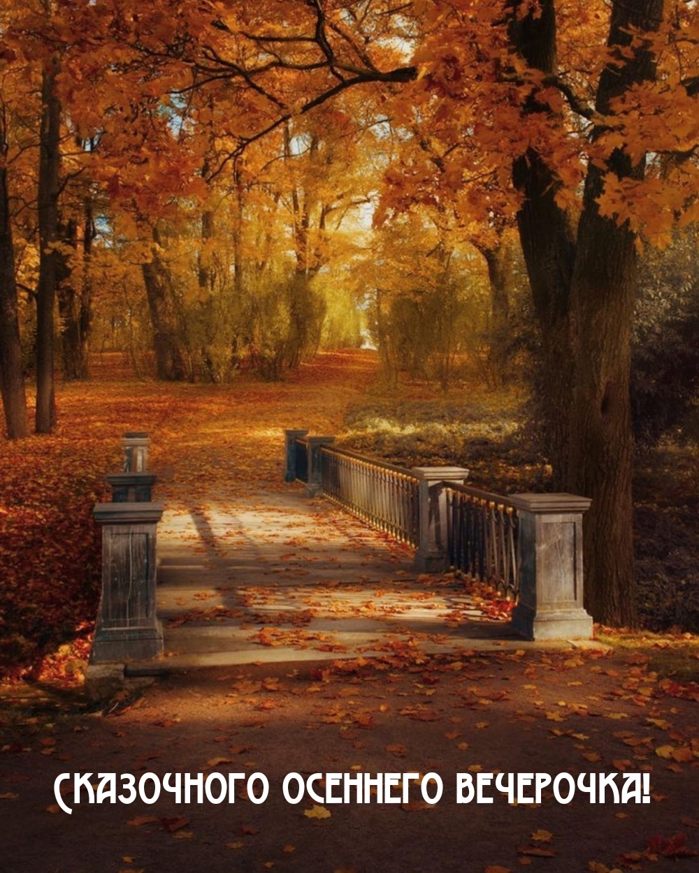 Сказочного осеннего вечерочка!