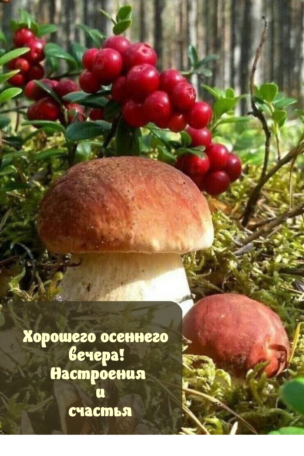 Хорошего осеннего вечера! Настроения и счастья