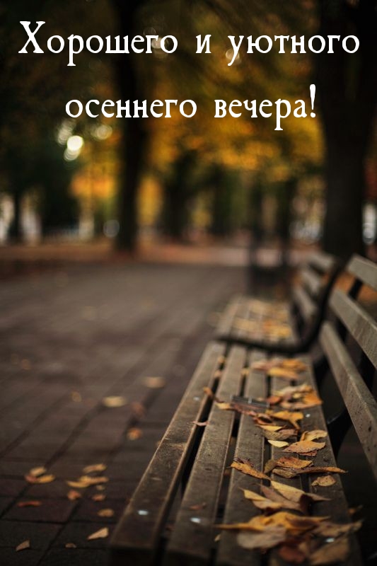 Хорошего и уютного осеннего вечера! 