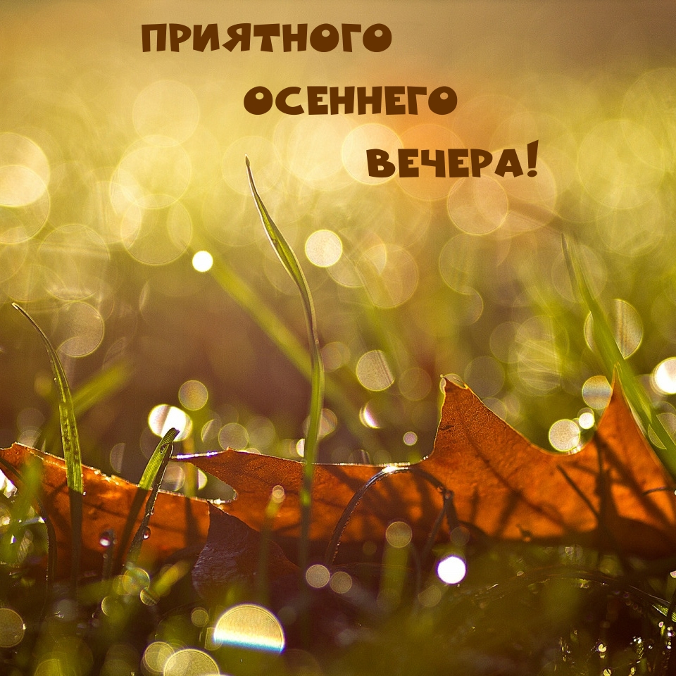 Приятного осеннего вечера!