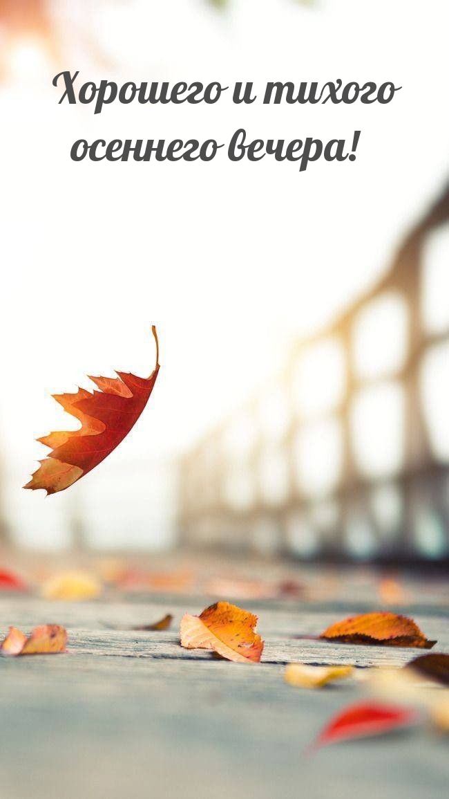 Хорошего и тихого осеннего вечера! 