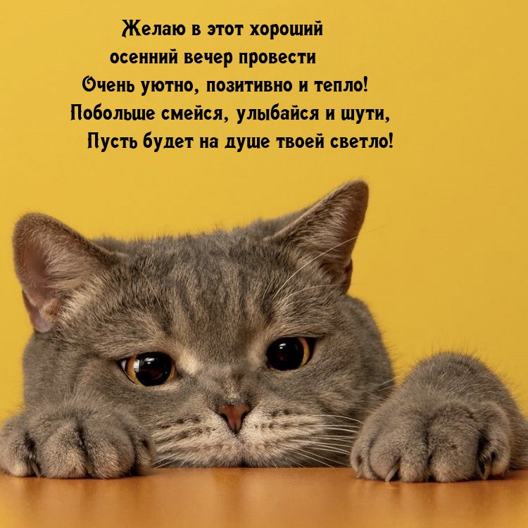 Желаю в этот хороший осенний вечер провести очень уютно