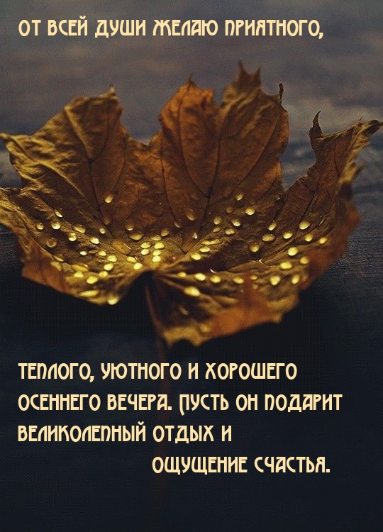 От всей души желаю приятного, теплого, уютного осеннего вечера.