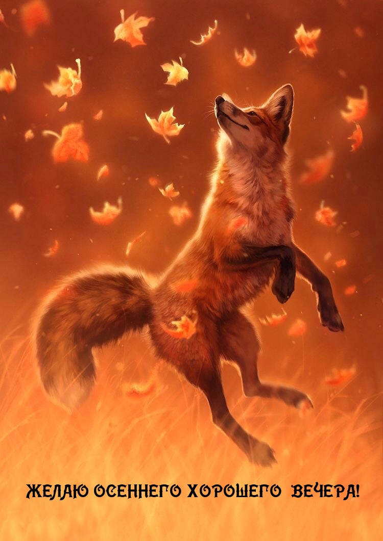 Желаю осеннего хорошего вечера!