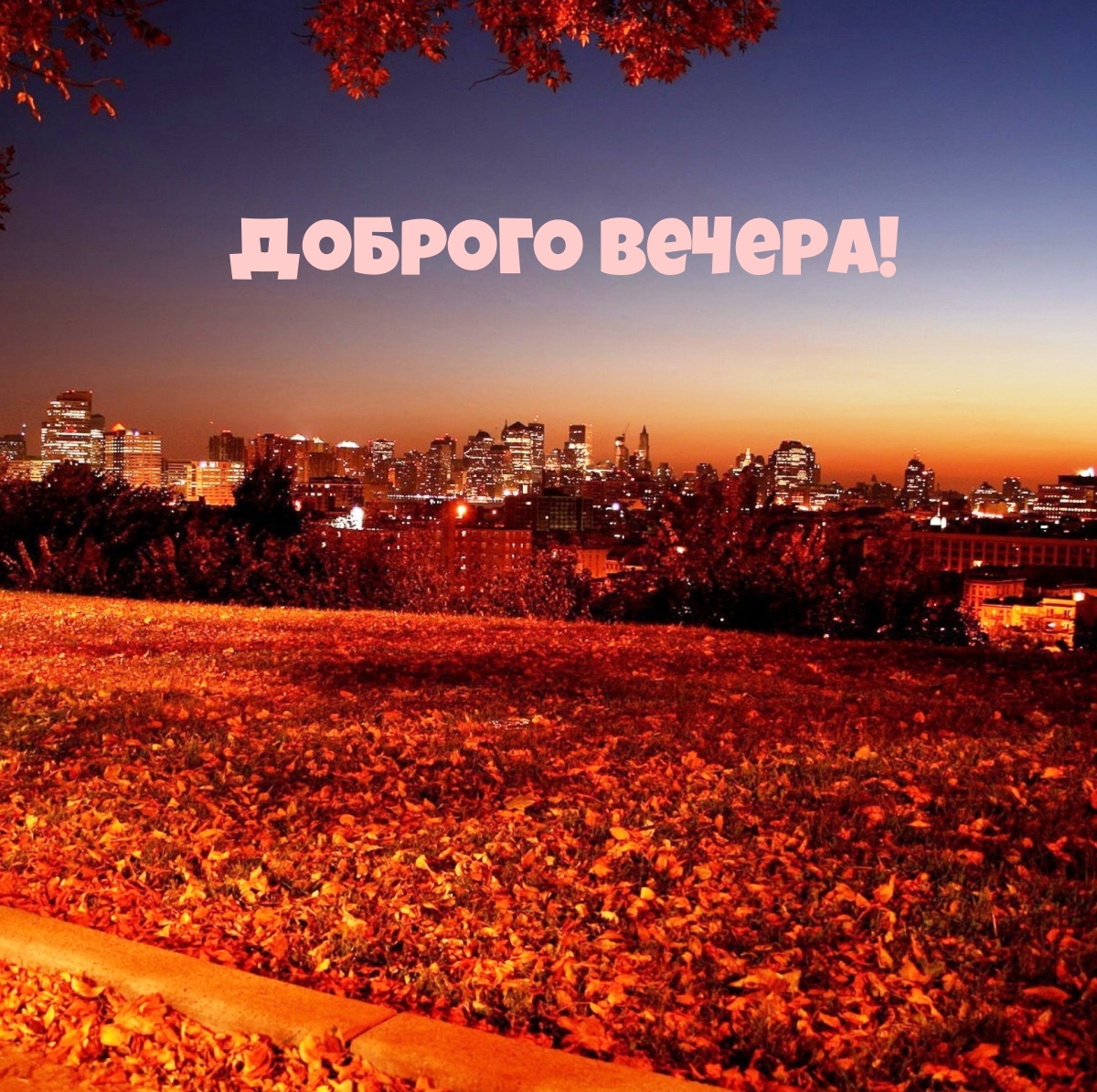 Доброго вечера!