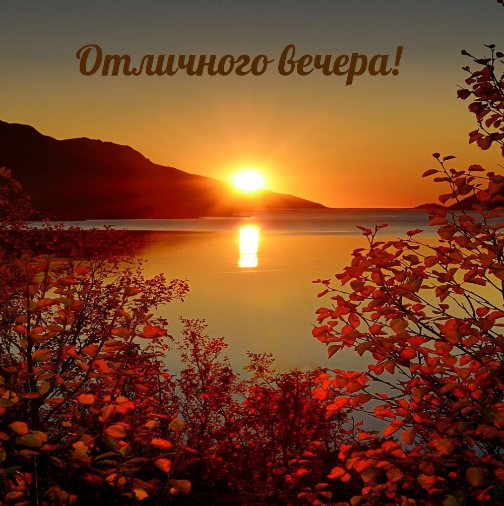 Отличного вечера!